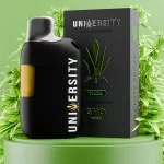 GMO THCA Vape Liquid Diamonds Disposable 2.5G – indica vape