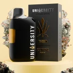 Runtz THCA Vape Liquid Diamonds Disposable 2.5G – hybrid vape