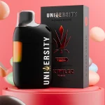 Zkittlez THCA Vape Liquid Diamonds Disposable 2.5 G – hybrid vape