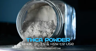 THCA Powder: What It Is and How to Use It thca powder