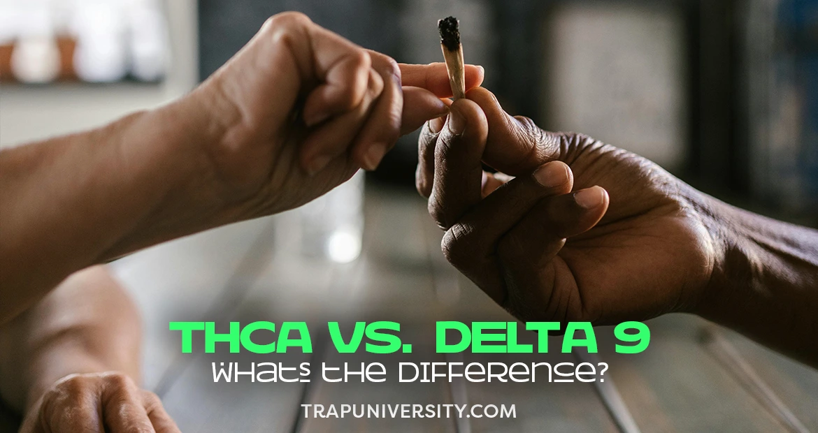 Hands passing a lit joint while comparing THCA vs Delta 9 and their key differences