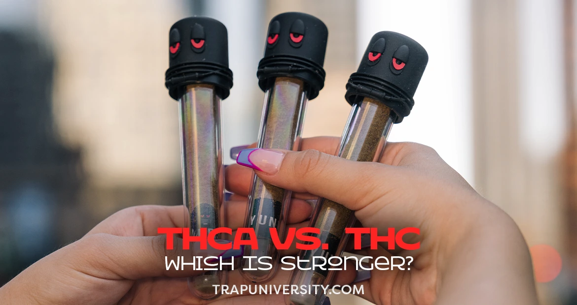Three preroll tubes labeled with THCA vs THC strength comparison