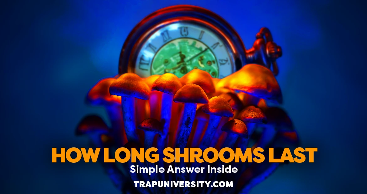 Clock behind glowing mushrooms illustrating how long does a shroom trip last and what users report