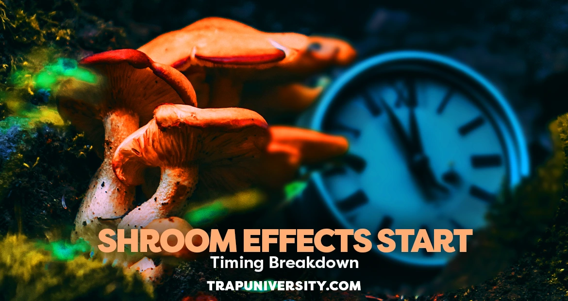 Orange mushrooms in a forest setting next to a blurred clock, symbolizing the timing of shroom effects.