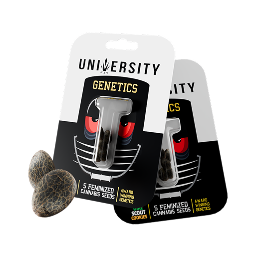 trap-university-PDP-seeds.png 1