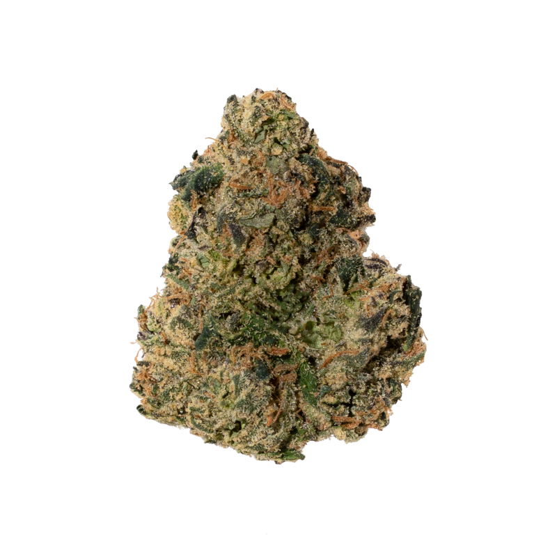 trap-university-blue-nerdz