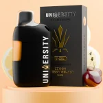 Lemon Cherry Gelato THCA Vape Liquid Diamonds Disposable 2.5G – Hybrid Vape