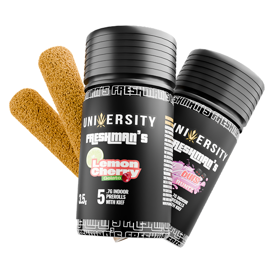 trap-university-pdp-prerrols-section-banner