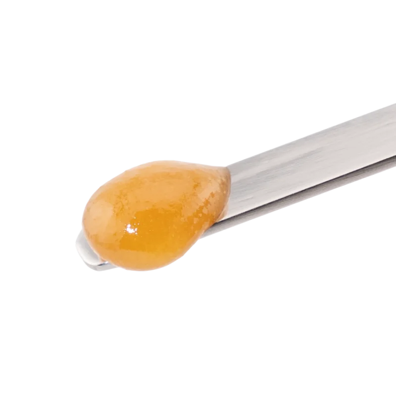 trap-university-concnetrate-university-batter-section