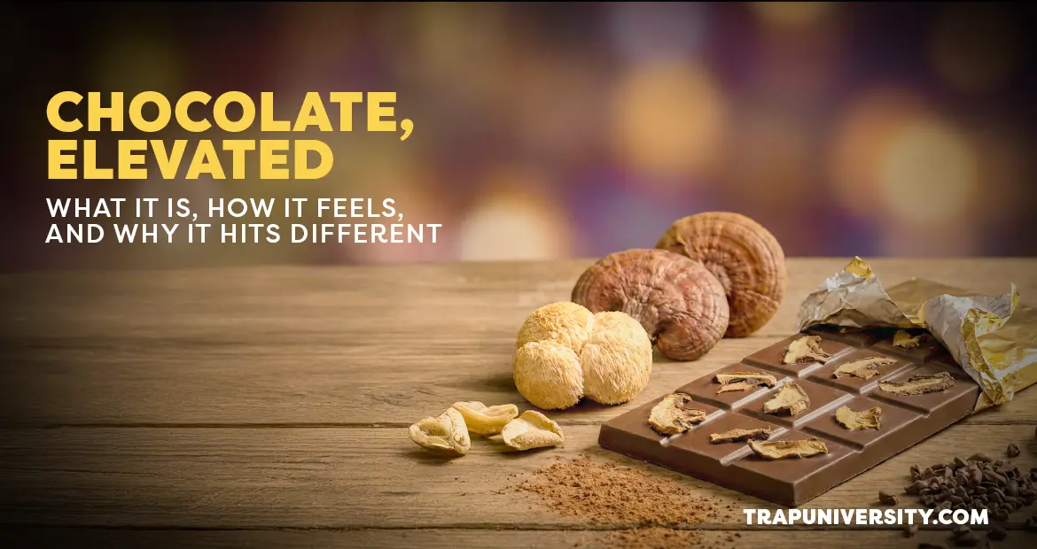 Magic mushroom chocolate bar with dried mushrooms on a wooden surface, with soft psychedelic lighting in the background.