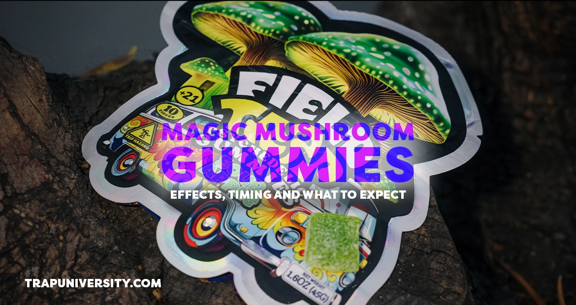 magic mushroom gummies in hand showing effects and experience format