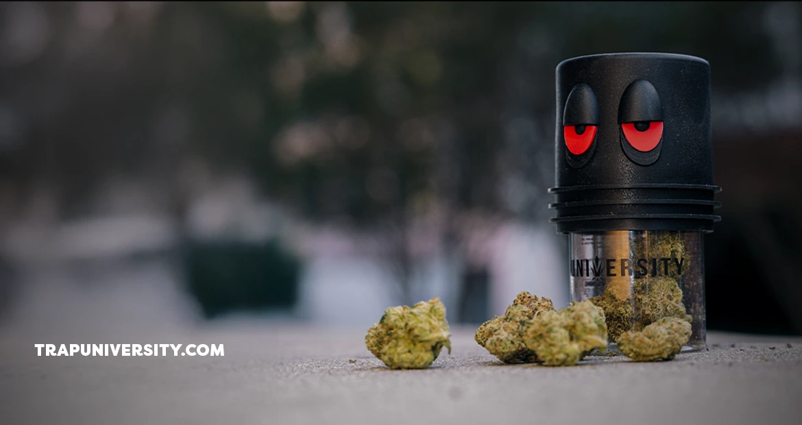 thcp explained cannabinoid hemp flower close up