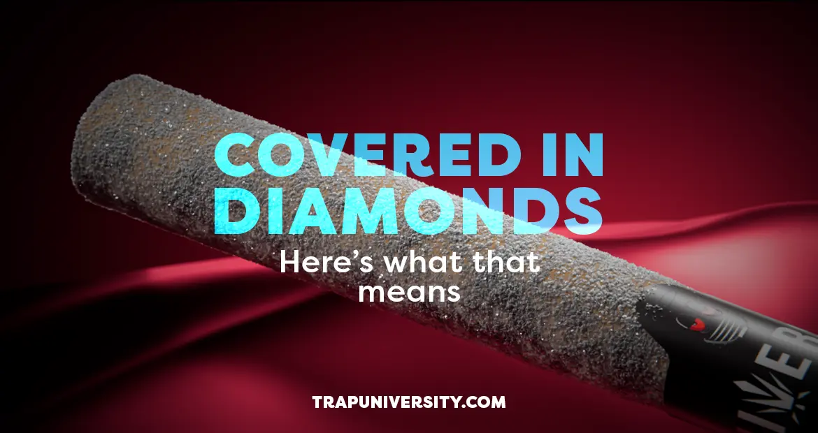 New Pre Rolls covered in diamonds – THCA and THCP infused pre-roll explained