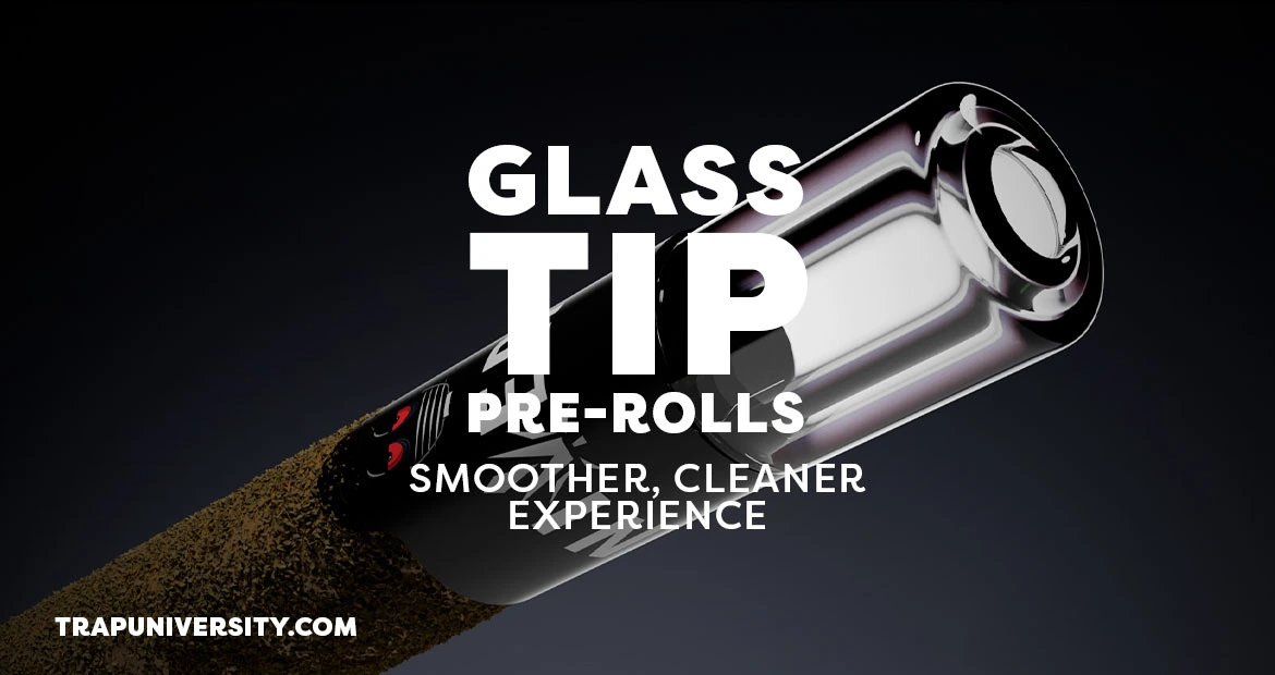 Glass Tip Pre Rolls with glass filter showing smoother cleaner cannabis experience